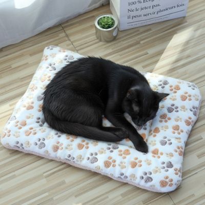 Tapis Chat