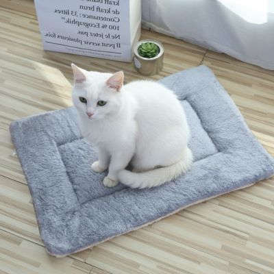 Tapis Chat