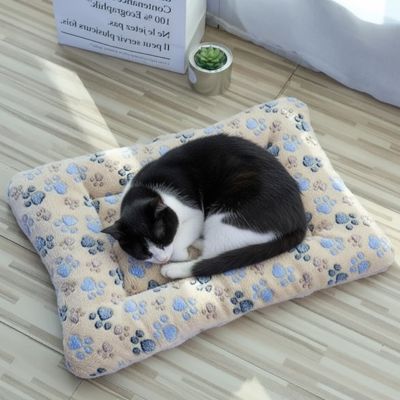 Tapis Chat