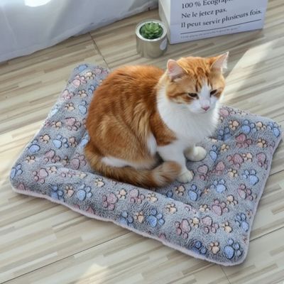 Tapis Chat