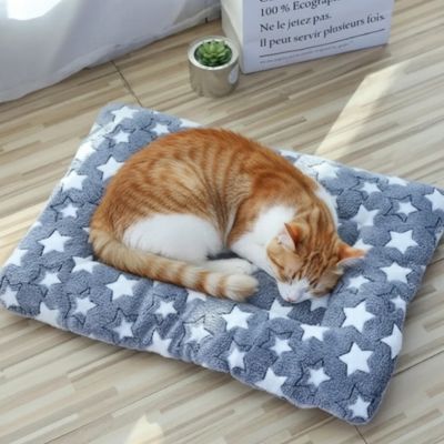 Tapis Chat