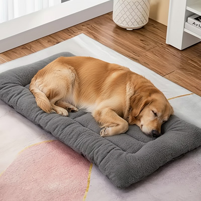 Tapis pour chien solide chien senior