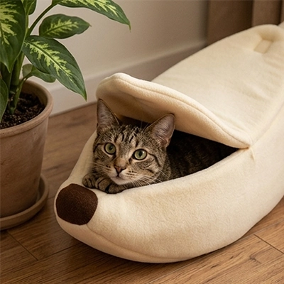 Lit pour Chat
