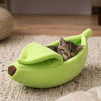 Lit pour Chat