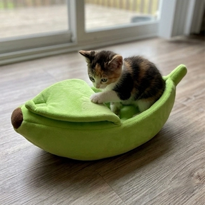 Lit pour Chat
