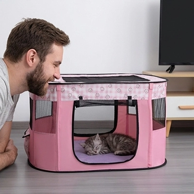 chaton dort dans Parc pour Chat rose homme le regarde
