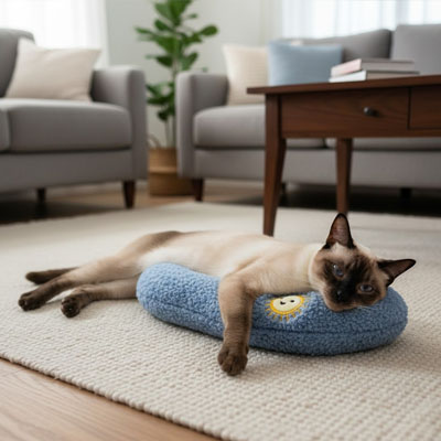 Coussin chat