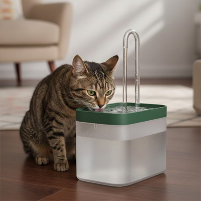 Fontaine à eau pour chat transparente