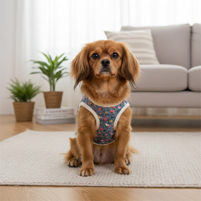 Manteau Chien bleu