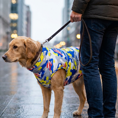 Manteau chien sur notre ami sous la pluie