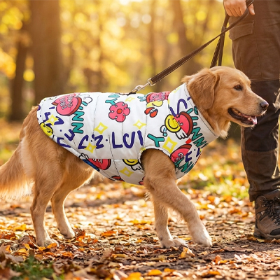 Manteau chien sur notre ami dans les bois