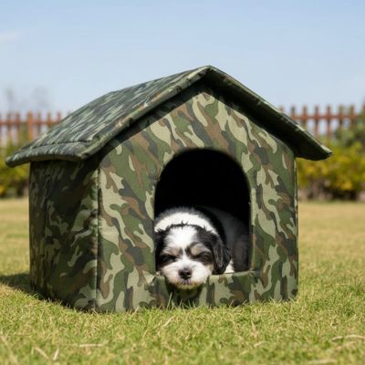 chien blanc et gris dans Niche pour Chien extérieur