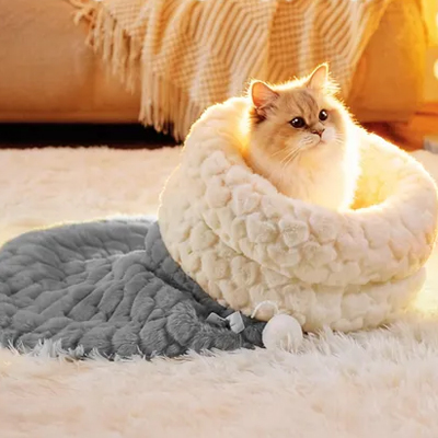 Lit pour Chat