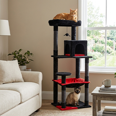 Arbre à Chat