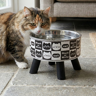 Gamelle Chat surélevée avec chat qui boit