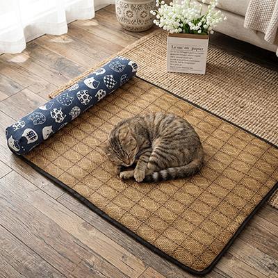 Lit chat de bonne dimension 50/ 40 cm