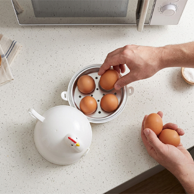 Cuiseur oeuf