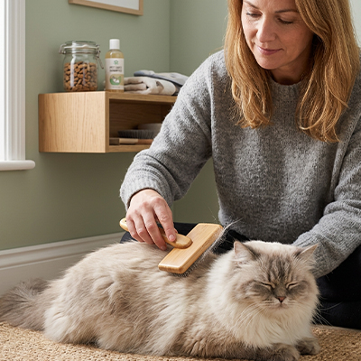 brosse chat poil long bois naturel maitresse salon