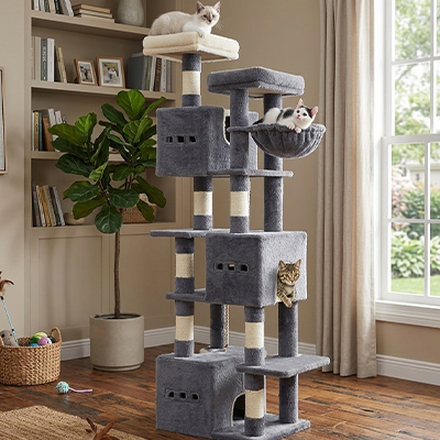 Arbre à Chat