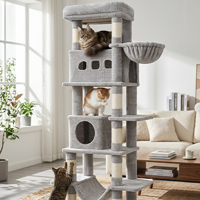 Arbre à Chat