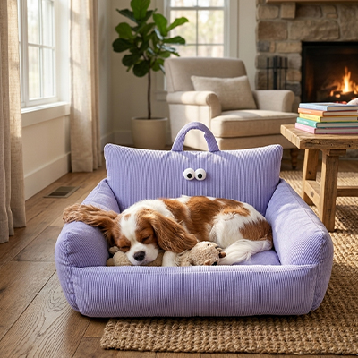 épagneul couché sur Canapé Chien