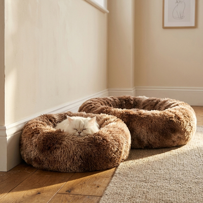 Coussin pour Chat