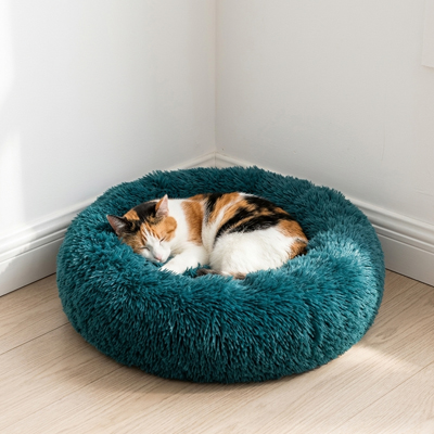 Coussin Chat