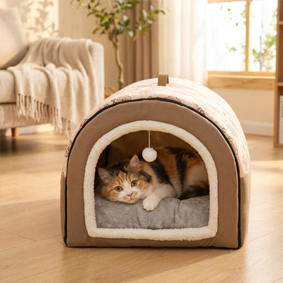 Maison pour chat