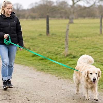 Longe pour Chien verte à la campagne