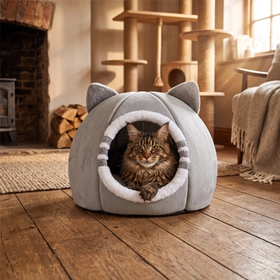 Niche pour Chat