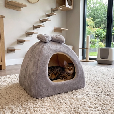 Maison pour chat