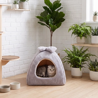 Maison pour chat