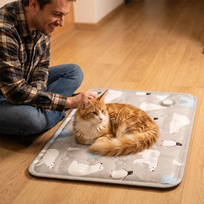 Tapis rafraichissant Chat