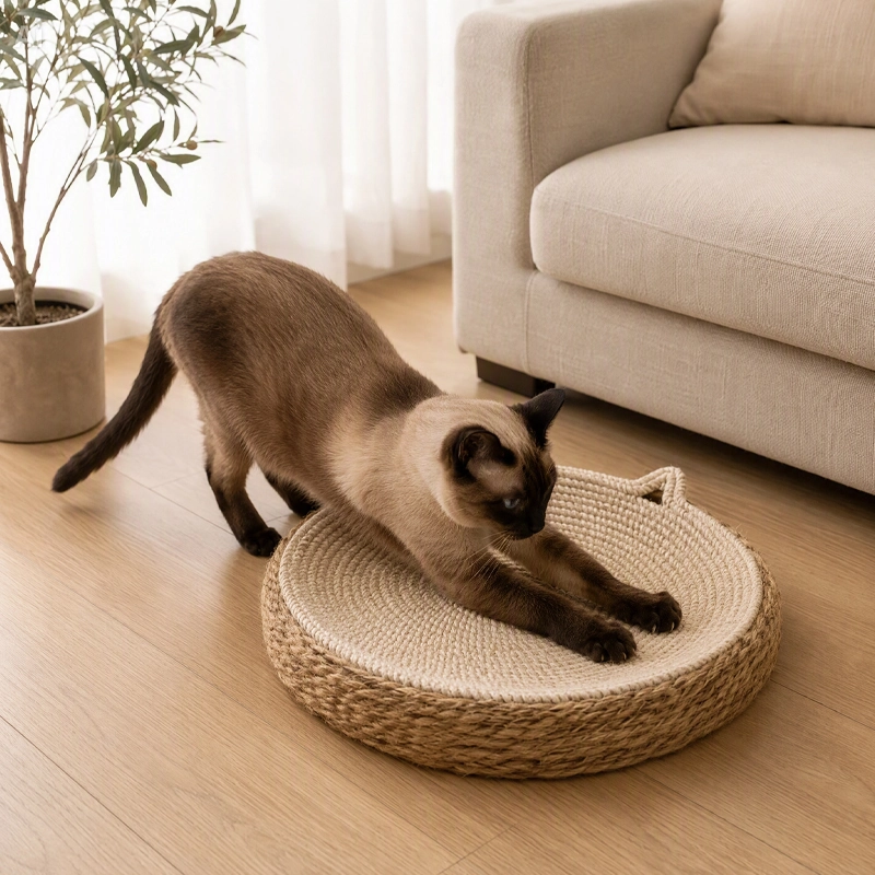 Griffoir à Chat