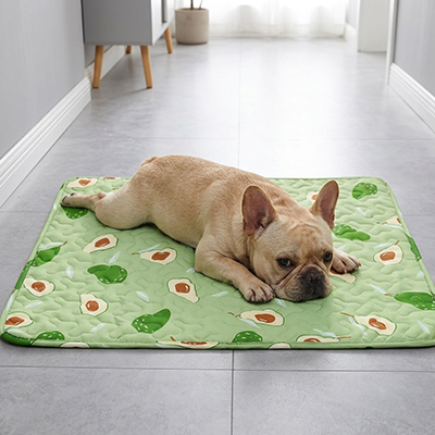 Tapis rafraichissant pour Chien