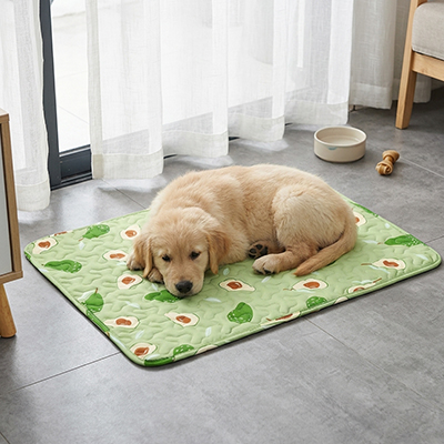 Tapis rafraichissant pour Chien