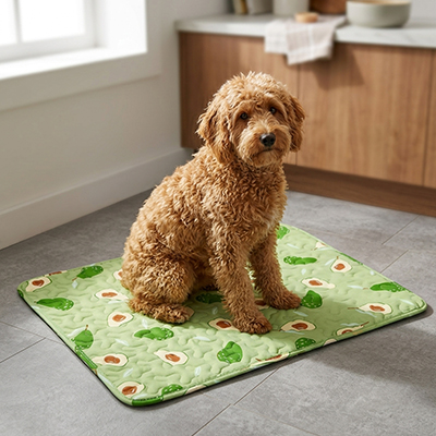 Tapis rafraichissant pour Chien